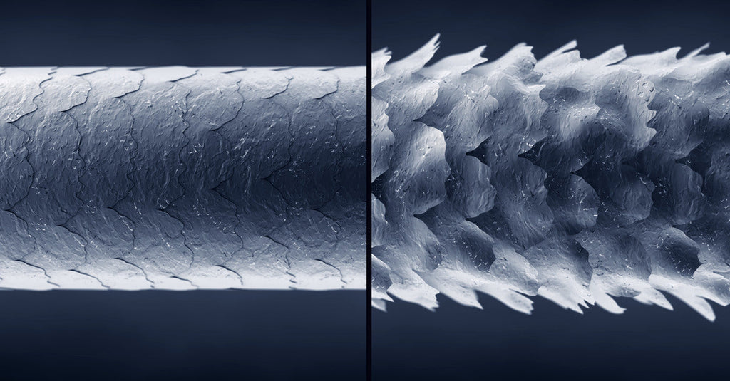 Extreme close-up split illustration of two hair cuticles, one that is low porosity and the other that is high porosity.